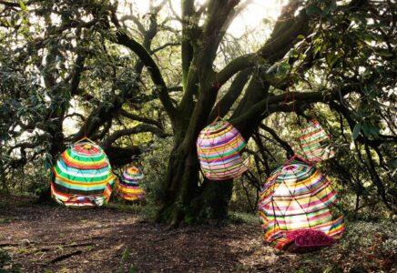 MOROSO Tropicalia, hanging chairs